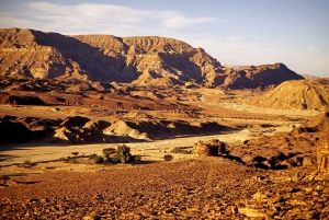 Sharm el-Sheij Excursión al Monte Sinaí y al Monasterio de Catalina