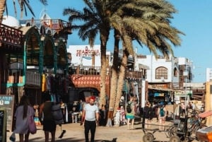 Noites de Dahab a partir de Sharm El-Sheikh e jantar na praia