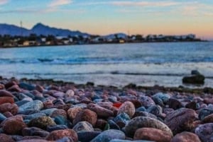 Noites de Dahab a partir de Sharm El-Sheikh e jantar na praia