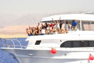 Desde Sharm El-Sheikh Excursión en barco a la estación de rayas de Ras Mohamed