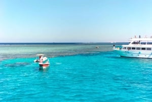 Desde Sharm El-Sheikh Excursión en barco a la estación de rayas de Ras Mohamed