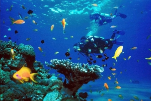 Ras Muhammad N.P: Snorkeling or Diving Boat Trip from Sharm