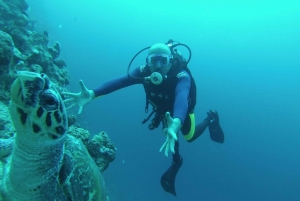 Ras Muhammad National Park: Diving Boat Trip from Sharm