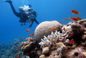 Ras Muhammad National Park: Diving Boat Trip from Sharm