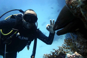 Ras Muhammad National Park: Diving Boat Trip from Sharm