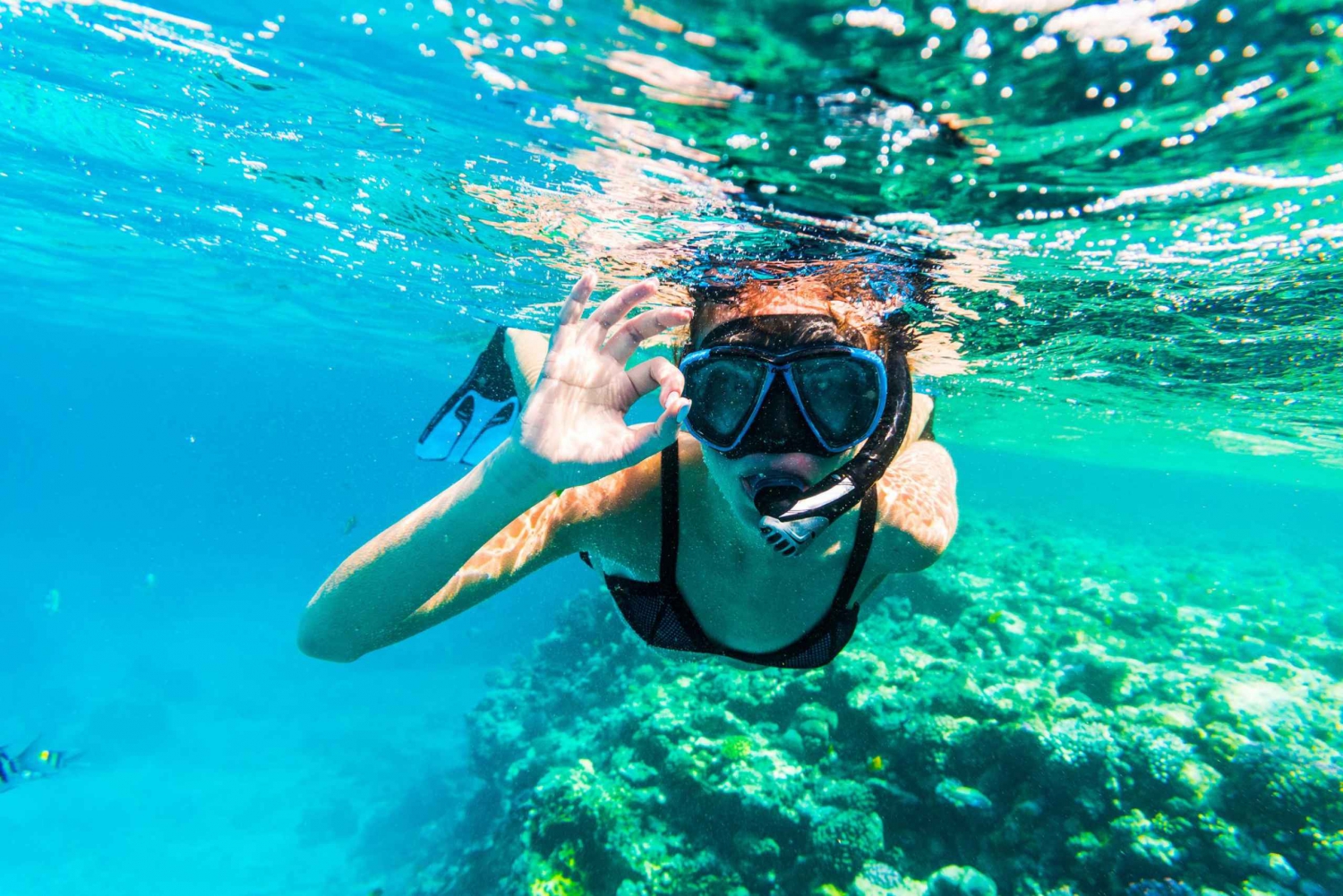 Sharm El Sheij: Snorkel en Ras Mohamed e Isla Blanca