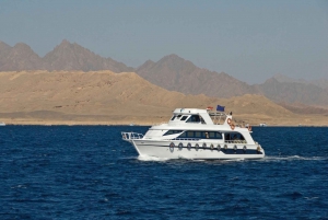 Ras Muhammad National Park: Snorkeling with Optional Dive
