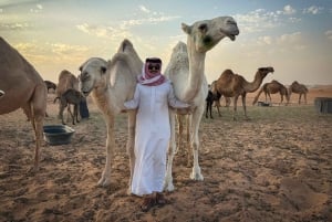 Эр-Рияд: Посещение верблюжьей фермы в сердце пустыни