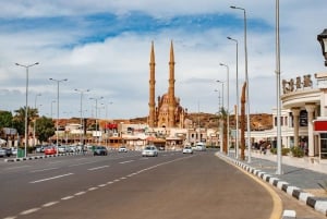 Sharm: Mesquita Al Sahaba e Baía de Naama Tour guiado particular
