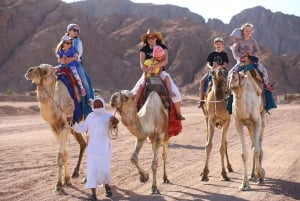 Sharm : Balade à dos à de chameau et aventure arabe avec petit déjeuner