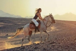 Sharm: Aventura árabe a caballo y paseo en camello con desayuno