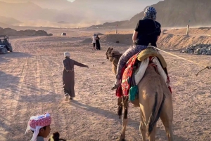 Sharm: ATV, giro in cammello, cena BBQ e spettacolo con trasferimento privato