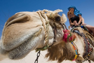 Sharm El-Sheikh: Morgens Wüste ATV Quad & Buggy Abenteuer