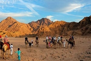 Sharm El-Sheikh: Morgens Wüste ATV Quad & Buggy Abenteuer