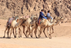 Sharm El-Sheikh: Morgens Wüste ATV Quad & Buggy Abenteuer