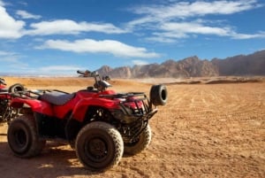 Sharm: ATV Safari, Horse Ride & Camel Ride with Breakfast