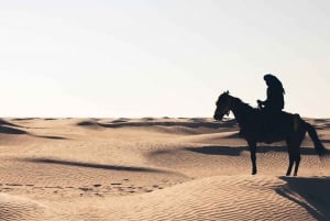 Sharm: Woestijnavonturen ATV, Buggy, paardrijden & kamelenrit