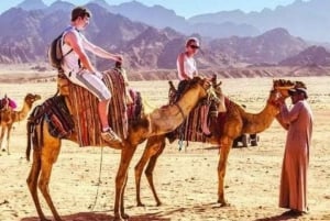 Sharm Private Jeep Safari, sterrenkijken & luxe diner