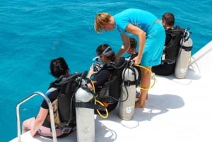 Sharm: Diving Boat Cruise Tiran Island w Private Transfers