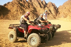 Sharm El-Sheikh: Bedouin BBQ, Camel Ride, & Stargazing Tour