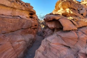 Sharm el-Sheik: Dahab, Red Canyon und Abu Galum Tagestour