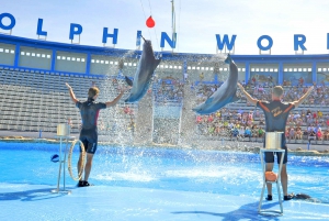 Sharm El-Sheikh: 1-Hour Show at Dolphin World with Pickup