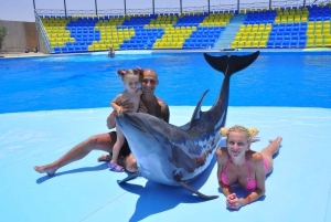 Sharm El-Sheikh: 1-Hour Show at Dolphin World with Pickup