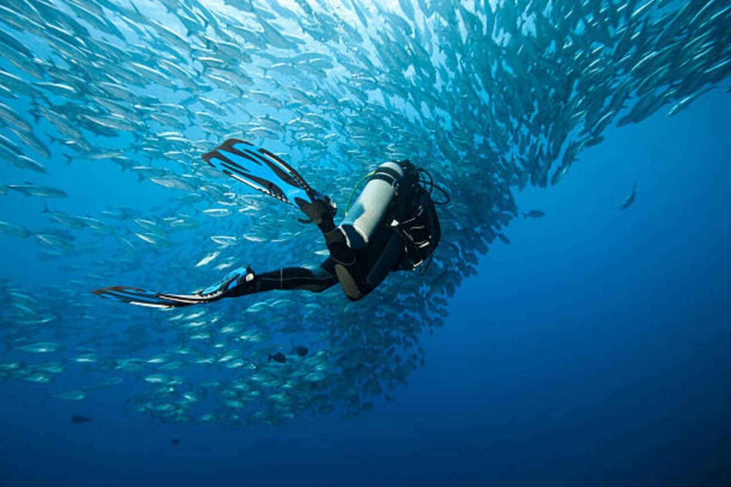 Sharm El Sheikh: 4-Day PADI Open Water Diver Course