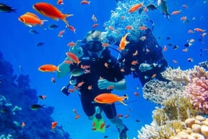 Sharm El Sheikh: 4-Day PADI Open Water Diver Course
