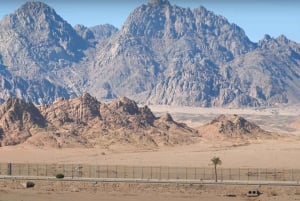 Sharm El Sheikh: ATV, Beduinenzelt mit BBQ Dinner und Show
