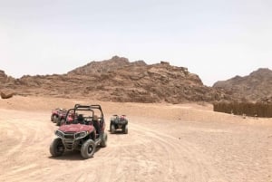 Sharm El Sheikh: ATV, namiot Beduinów z kolacją BBQ i pokazem