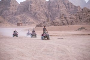 Sharm El Sheikh: ATV, beduintält med grillmiddag och show