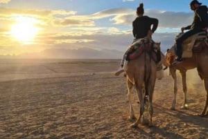 Sharm El Sheikh: ATV, Camel Ride with BBQ Dinner and Show