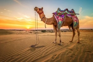 Sharm El Sheikh: ATV, Camel Ride with BBQ Dinner and Show
