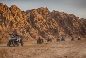 Sharm El Sheikh: ATV, kameltur med grillmiddag og show