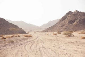 Sharm El Sheikh: ATV, passeio de camelo com jantar e show com churrasco