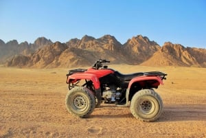Sharm El Sheikh: ATV, passeio de camelo com jantar e show com churrasco