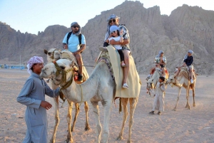 Sharm El-Sheikh: ATV, passeio de camelo com jantar de churrasco e espetáculo