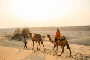 Sharm El Sheikh: ATV Dunes & Waves Adventure with Lunch