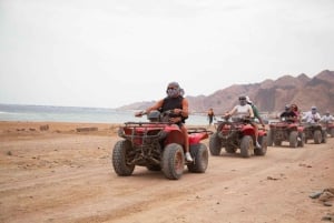 Sharm El Sheikh: ATV Dunes & Waves Adventure with Lunch