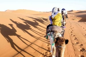 Sharm El Sheikh: ATV Dunes & Waves Adventure with Lunch