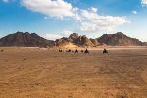 Sharm El Sheij: Excursión en quad, observación de estrellas, camello, cena y espectáculo
