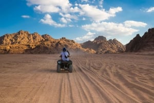 Sharm El Sheikh: ATV-tur, stjärnskådning, kamel, middag och show