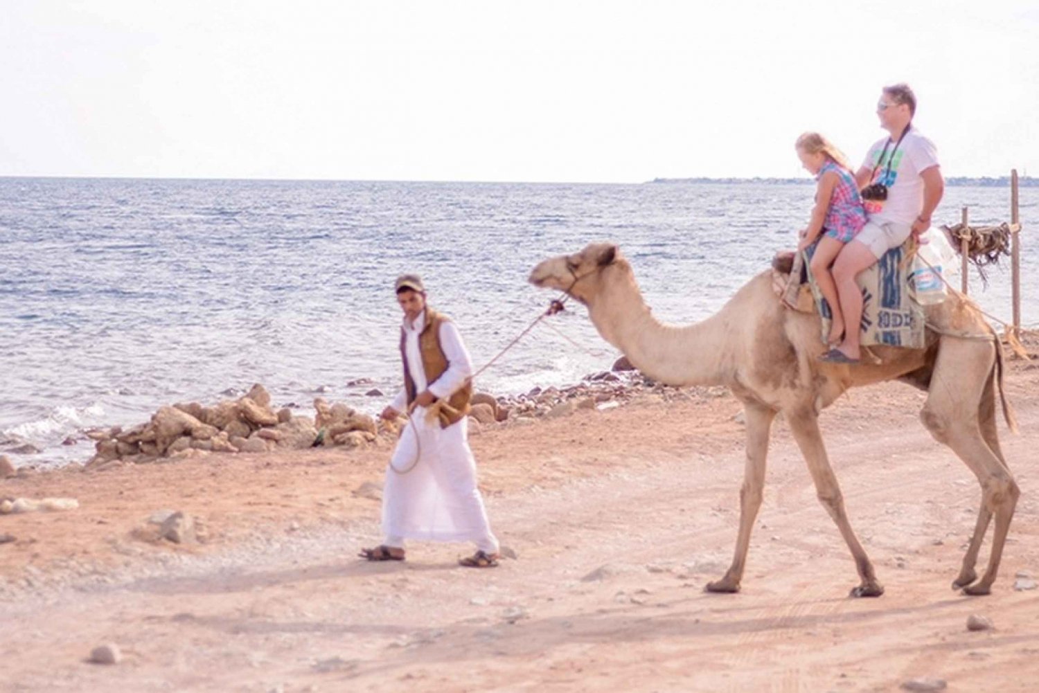 Sharm El Sheikh Bedouin Dinner and Camel Ride