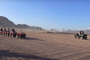 Sharm El-Sheikh : Excursion d'une journée sous tente bédouine et en buggy dans le désert