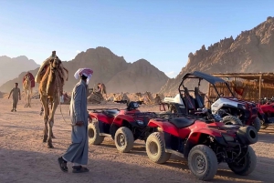 Sharm El-Sheikh : Excursion d'une journée sous tente bédouine et en buggy dans le désert