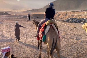 Sharm El-Sheikh: Excursão de um dia no deserto com tenda beduína e buggy
