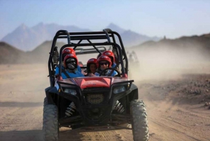 Sharm El-Sheikh: Tour del deserto in tenda beduina e buggy