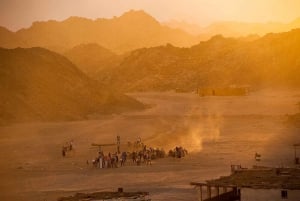 Sharm el-Sheikh: Bedouin Village and Buggy Desert Day Tour