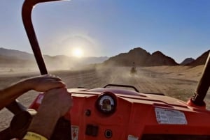 Sharm El-Sheikh : Excursion d'une journée sous tente bédouine et en buggy dans le désert